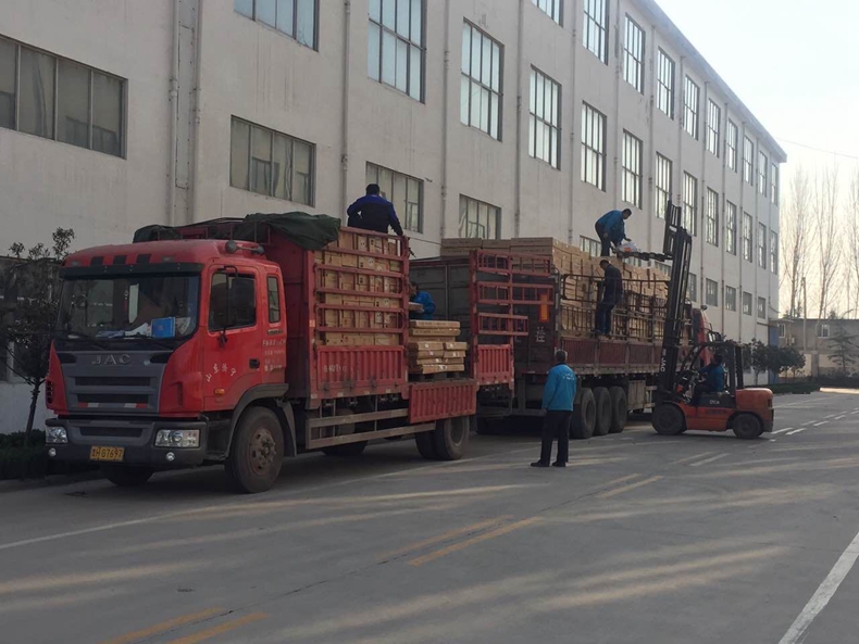 樱桃视频污在线观看樱桃视频免费在线观看溫暖出發